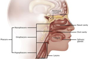 Nasopharyngeal Cancer Surgery